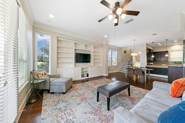 living room with dark hardwood / wood-style floors, ceiling fan, and crown molding