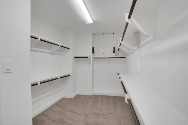 spacious closet featuring light colored carpet