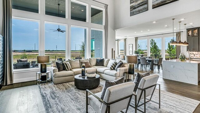 living room featuring sink, a high ceiling, and dark hardwood / wood-style floors