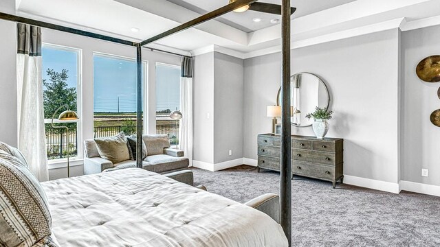 bedroom featuring multiple windows, ceiling fan, and carpet