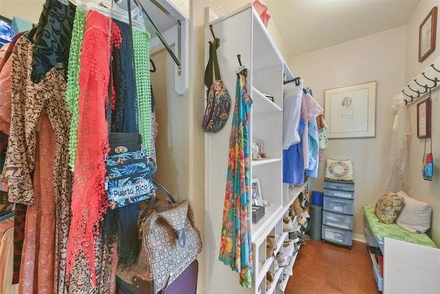 spacious closet with hardwood / wood-style floors