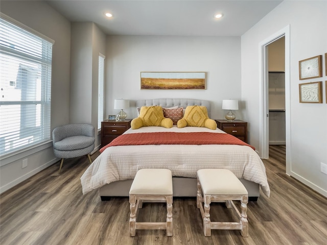 bedroom featuring multiple windows, a spacious closet, and wood-type flooring