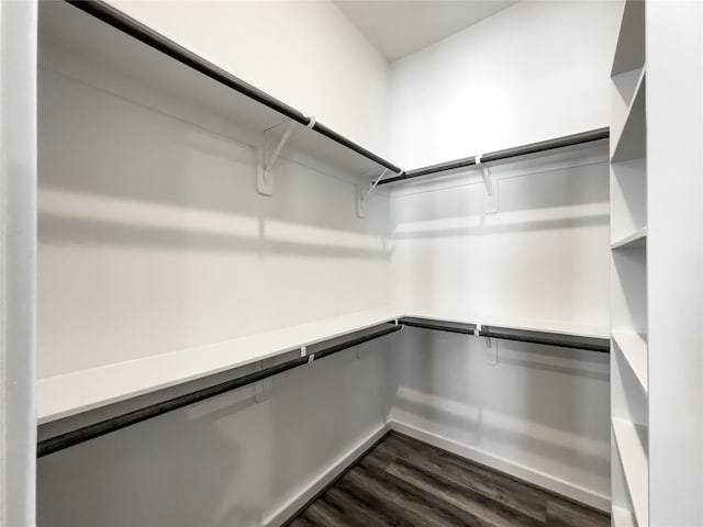 walk in closet featuring dark hardwood / wood-style flooring