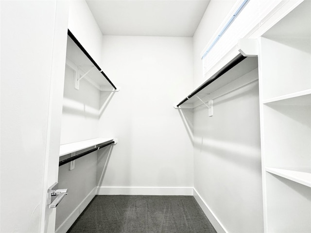 spacious closet with dark carpet