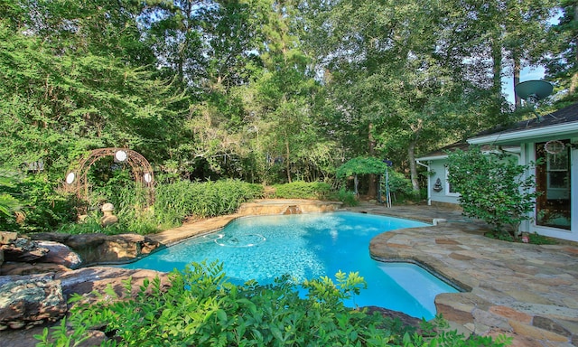 view of swimming pool with a patio