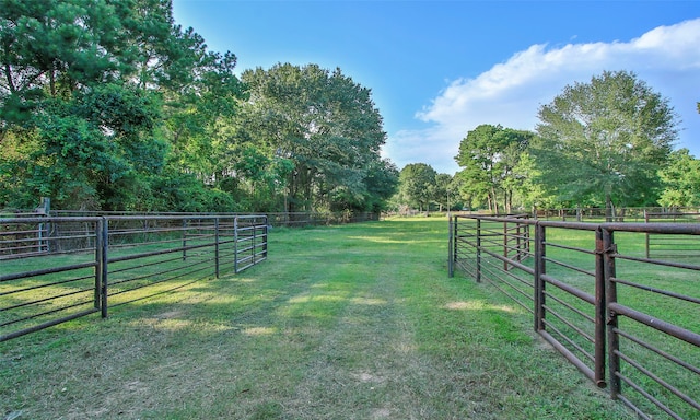 view of yard featuring a rural view