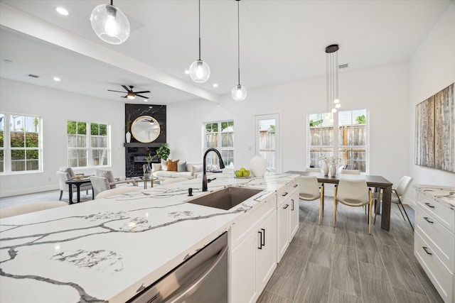 kitchen with stainless steel dishwasher, a healthy amount of sunlight, and sink