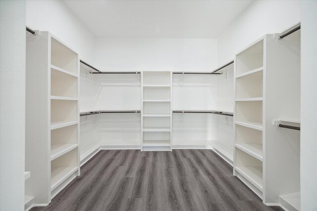 spacious closet featuring dark hardwood / wood-style flooring