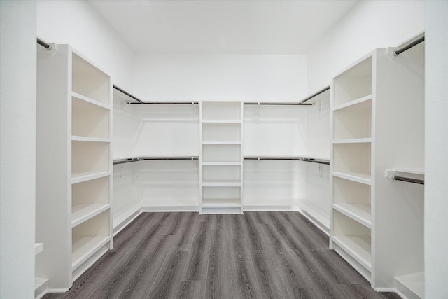 spacious closet featuring dark hardwood / wood-style flooring