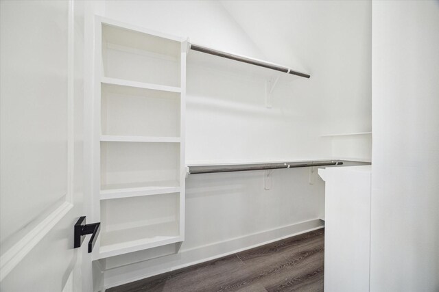 spacious closet featuring dark hardwood / wood-style flooring