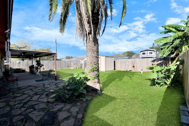 view of yard with a patio area and a shed