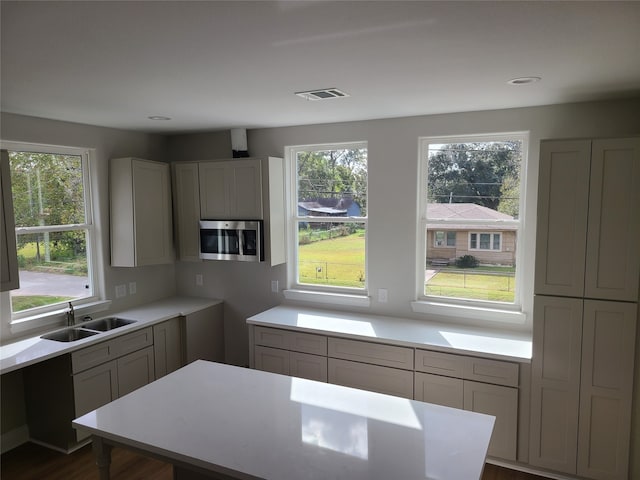 kitchen with plenty of natural light, gray cabinetry, and sink