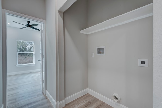 clothes washing area featuring electric dryer hookup, ceiling fan, light wood-type flooring, and hookup for a washing machine