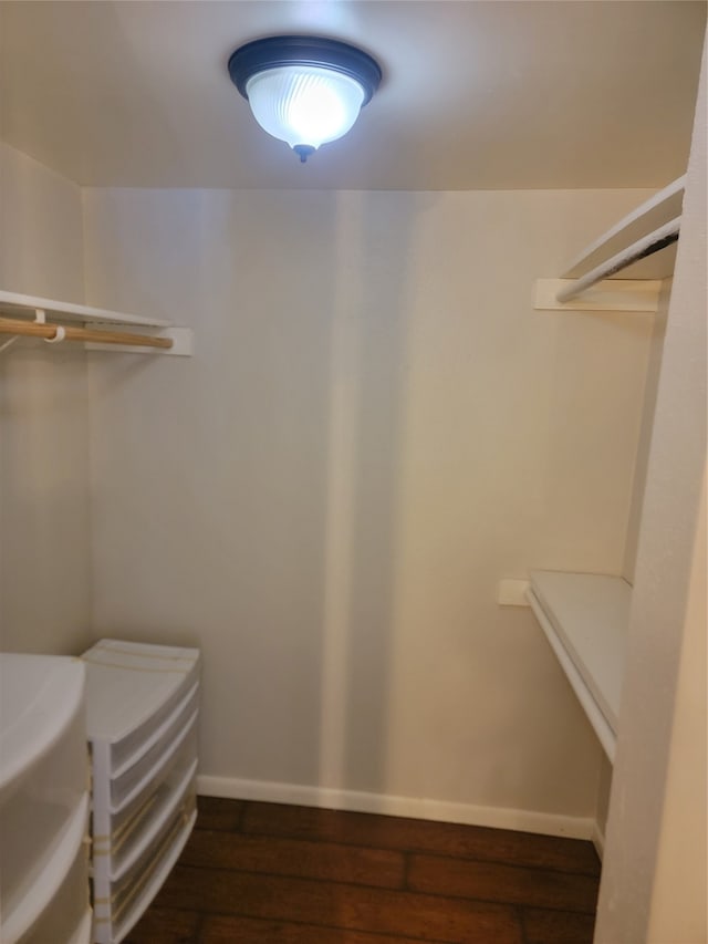 spacious closet featuring dark wood-type flooring