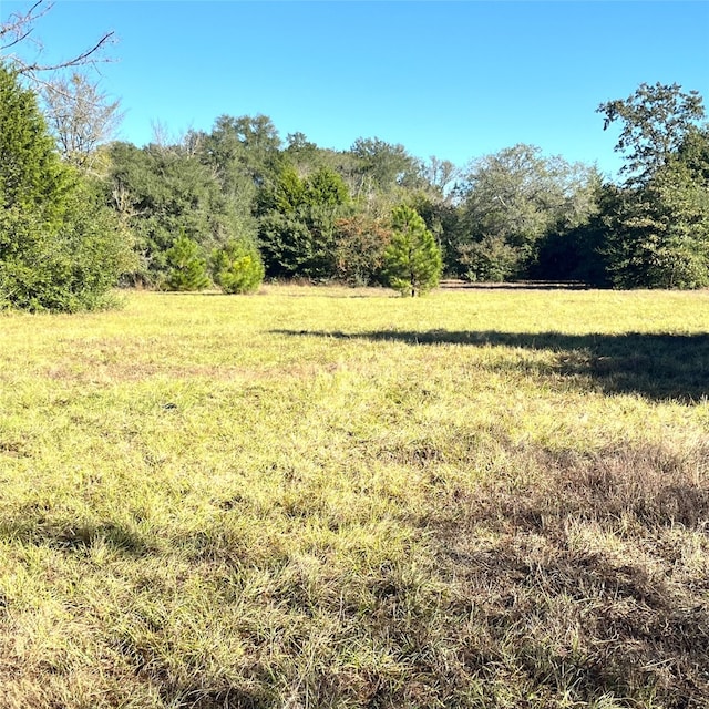 Listing photo 3 for 12124 County Road 122, Centerville TX 75833