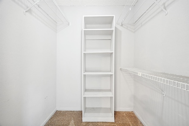 walk in closet featuring carpet flooring