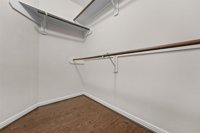 spacious closet featuring wood-type flooring