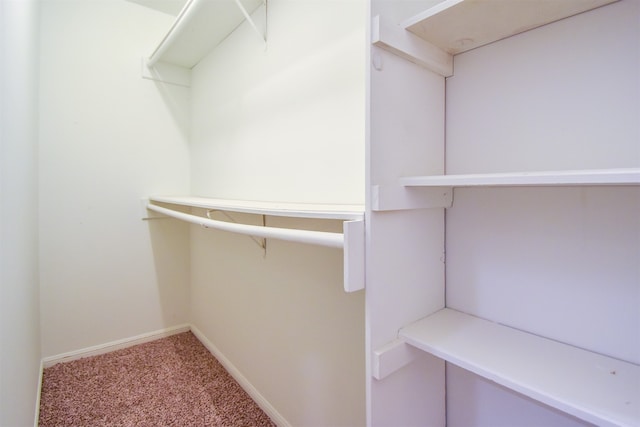 spacious closet featuring carpet