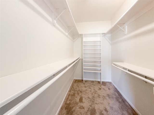 walk in closet featuring light carpet