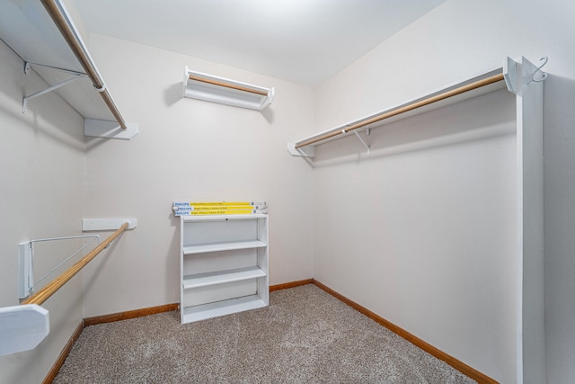 spacious closet featuring carpet flooring