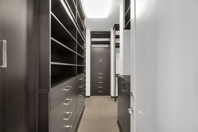 walk in closet featuring light carpet