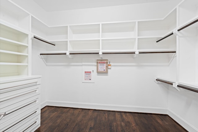 walk in closet featuring dark hardwood / wood-style floors