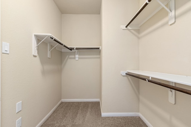 spacious closet featuring carpet floors