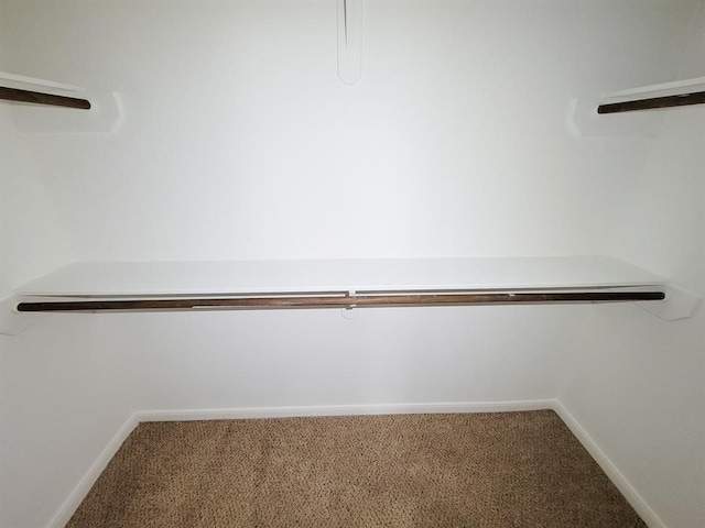 spacious closet featuring carpet floors