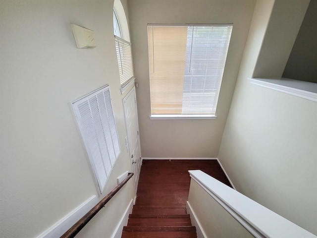 stairway featuring hardwood / wood-style floors