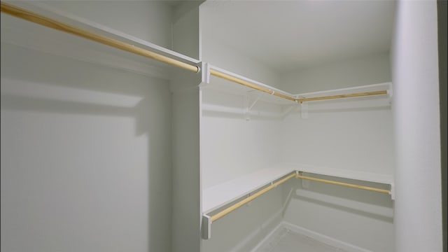 view of walk in closet