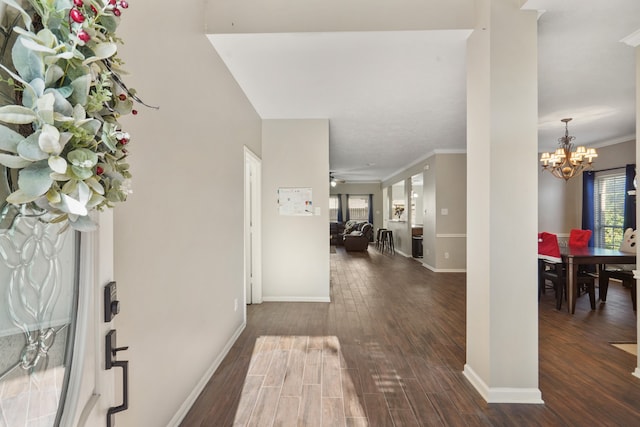 entrance foyer featuring dark hardwood / wood-style flooring, crown molding, plenty of natural light, and ceiling fan with notable chandelier