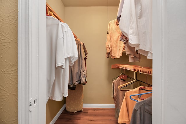 spacious closet featuring wood-type flooring