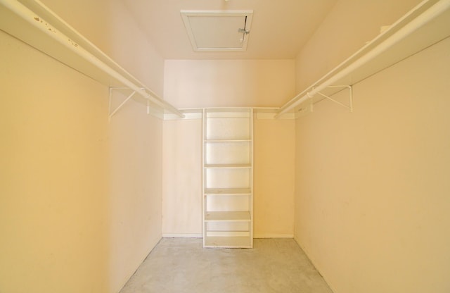 view of walk in closet