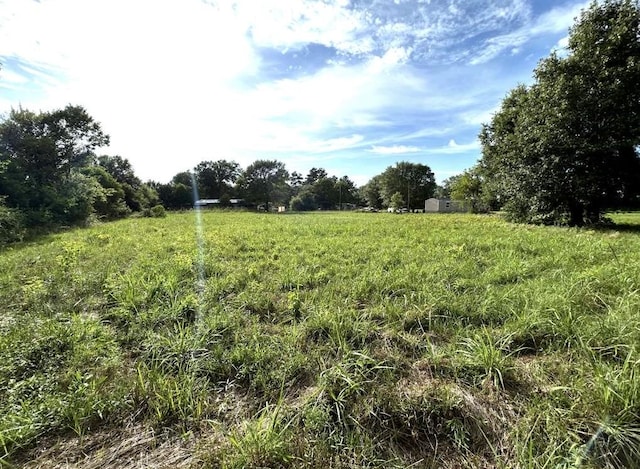 Listing photo 2 for TBD Mattie Moore, Groveton TX 75845