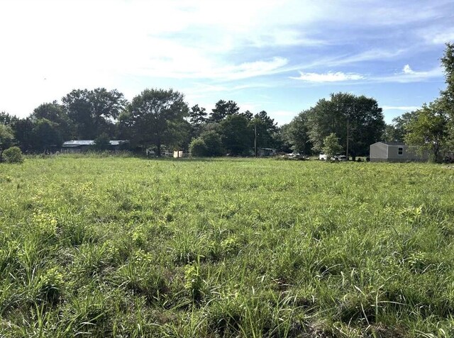 TBD Mattie Moore, Groveton, TX 75845 - photo 3