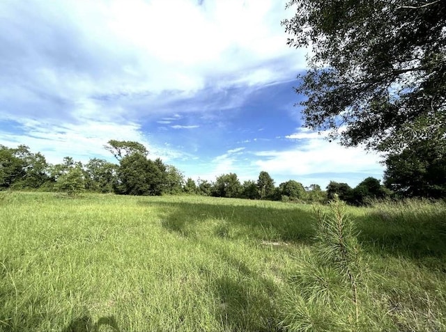 TBD Mattie Moore, Groveton, TX 75845 - photo 5