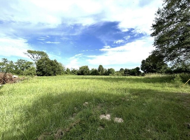 TBD Mattie Moore, Groveton, TX 75845 - photo 6