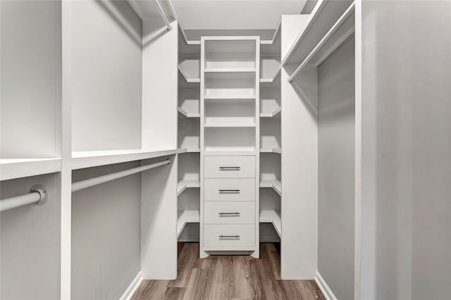 walk in closet with dark hardwood / wood-style floors