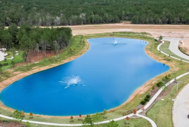 view of swimming pool with a water view