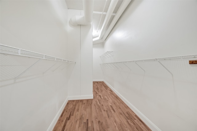 walk in closet with hardwood / wood-style flooring