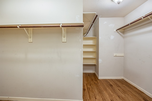 walk in closet featuring light hardwood / wood-style flooring