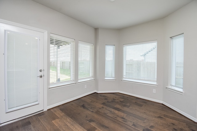 interior space featuring a wealth of natural light and dark wood-type flooring