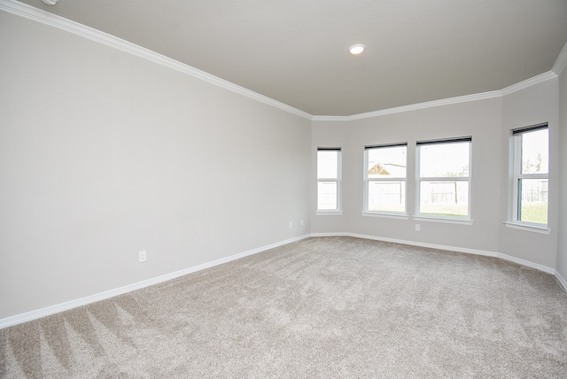 unfurnished room with carpet floors and crown molding