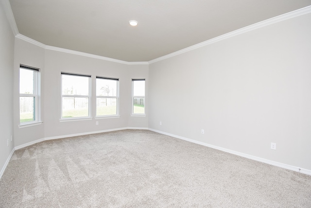 carpeted spare room with ornamental molding