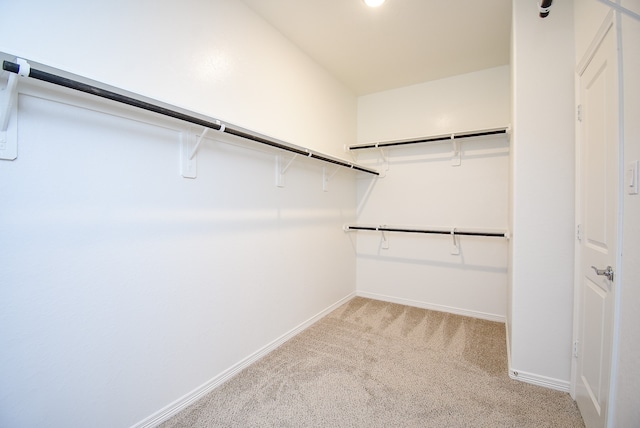 walk in closet featuring light carpet