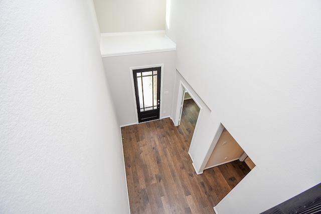 foyer entrance with dark hardwood / wood-style flooring and a high ceiling