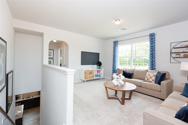 living room with hardwood / wood-style flooring