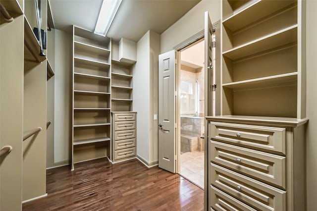 spacious closet featuring dark wood-type flooring