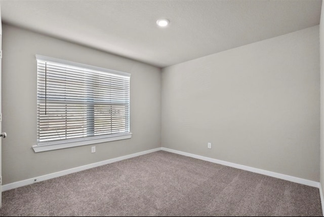 unfurnished room featuring carpet flooring