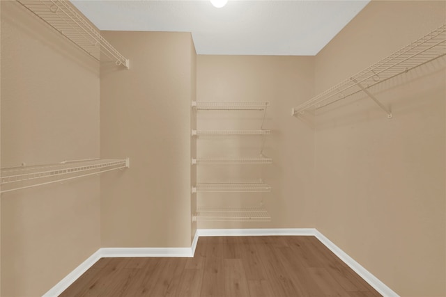 spacious closet featuring wood-type flooring